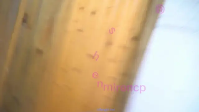 推特大神潛入辦公大樓女廁偷拍 短髮美女光板無毛黑鮑魚