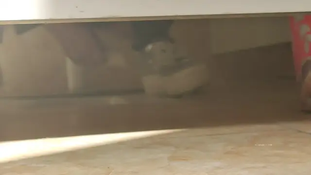 電影院女售票員2