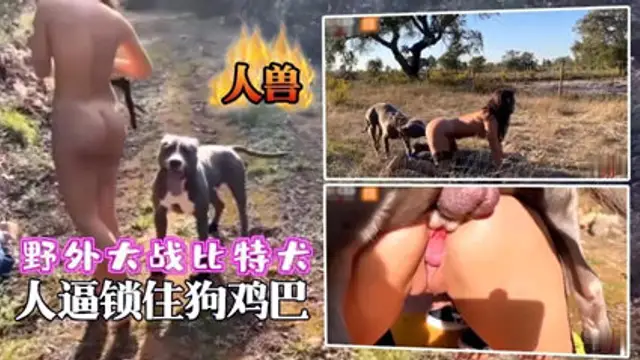 野外大戰位元犬人逼鎖狗屌-變態