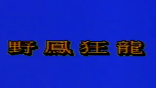 野鳳狂龍